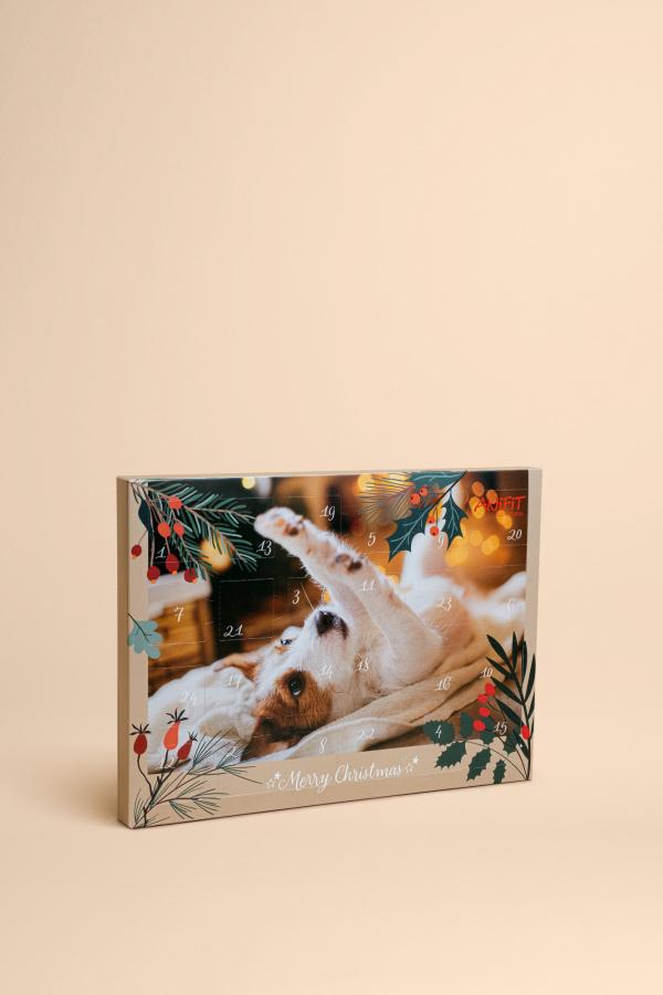 Calendario dell'Avvento per cani