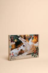 Calendario dell'Avvento per cani